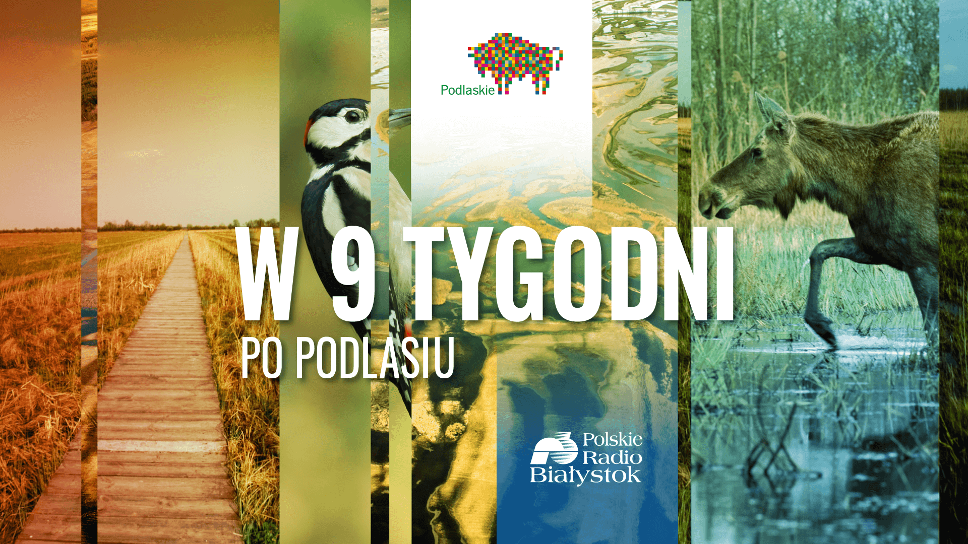 W 9 tygodni po Podlasiu