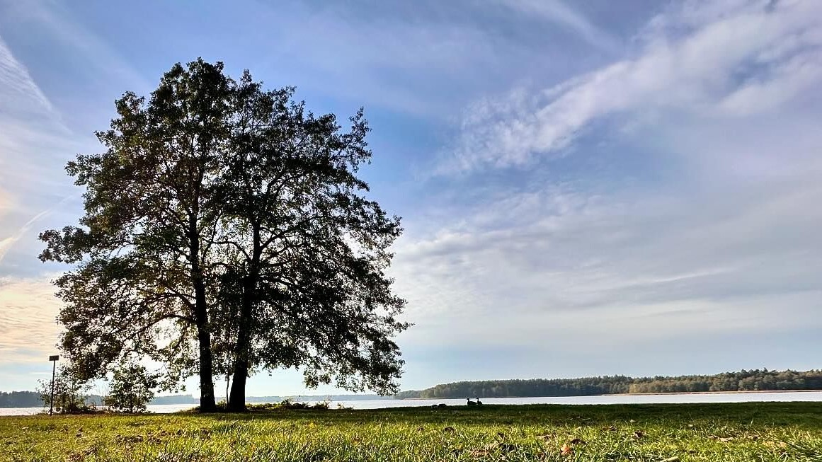 Źródło fot. UM Augustów