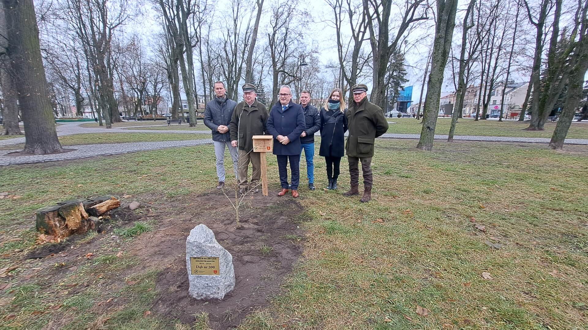 Trzy dęby posadzono w Augustowie z okazji 200-lecia Nadleśnictwa Augustów, 9.12.2024, fot. Iza Kosakowska