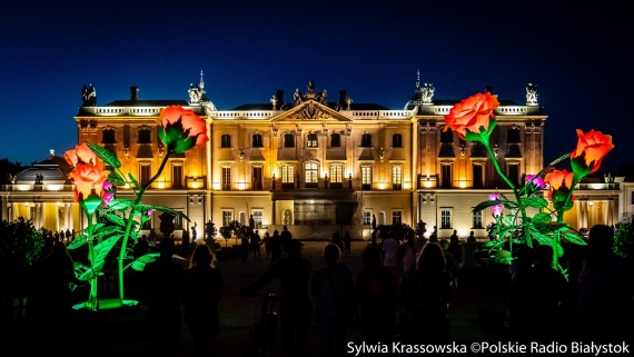 Królewskie Róże rozświetlają ogród Pałacu Branickich, fot. Sylwia Krassowska