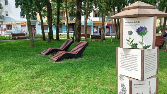 Otwarcie lawendowego parku kieszonkowego na białostockich Bacieczkach, 1.07.2024, fot. Marcin Gliński