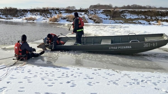 Akcja strażaków pozwoliła uratować uwięzioną w rzece łanię, 17.02.2025, fot. KM PSP Łomża