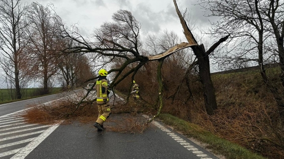 Skutki wichury w woj. podlaskim, 16.12.2024, fot. Spotted Białystok