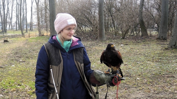 Sokolniczka w Czyżewie, 17.03.2025, fot. Adam Dąbrowski