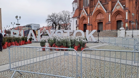 "Akcja choinka", 21.12.2024, fot. Marcin Gliński