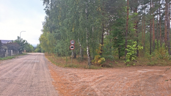 Ul. Cedrowa w Wasilkowie, fot. Ryszard Minko