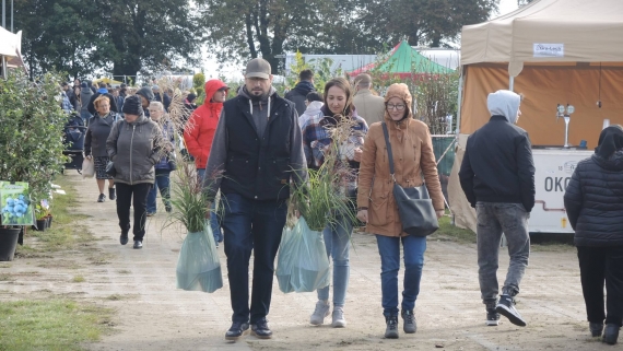 Targi "Jesień w sadzie i ogrodzie" w Szepietowie, 5.10.2024, fot. Adam Dąbrowski