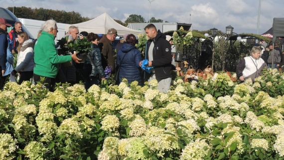 Targi "Jesień w sadzie i ogrodzie" w Szepietowie, 5.10.2024, fot. Adam Dąbrowski